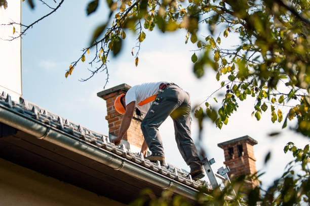 Best Best Roofing Contractors  in Sunnyside, CA