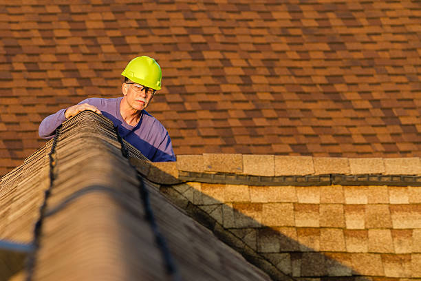 Best Roof Gutter Cleaning  in Sunnyside, CA